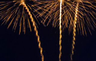 FOTO SECCION PALMERAS FOTO SECCION PALMERAS